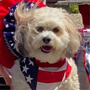 Meet your Posher, Deb